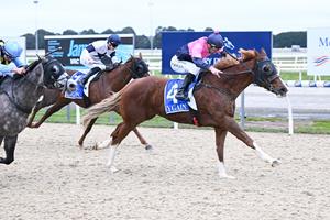 HISTORY REPEATS FOR QUELLO